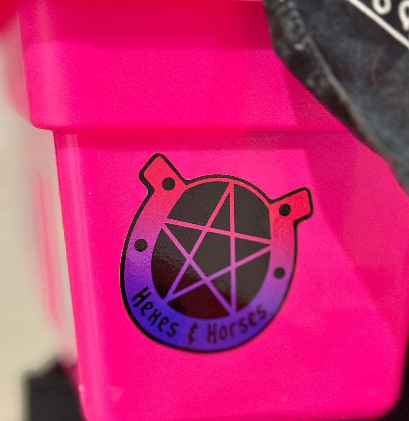 Hexes and Horses Pride - Bi Pride