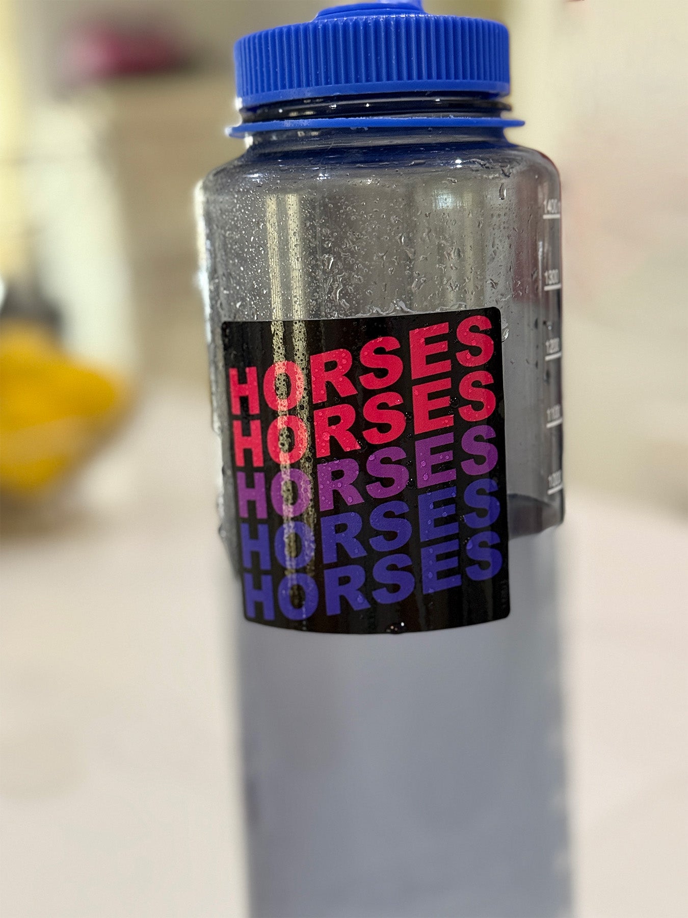 HorsesHorsesHorses - Bi Pride